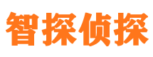 平房市侦探调查公司